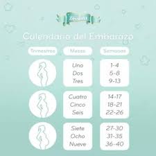 Cuanto vale la pastilla del dia despues en colombia. 20 Semanas Cuantos Meses De Embarazo Serian Club De Bebes Junio 2018 20 Semanas De Embarazo Embarazo Semana 20 9 Semanas De Embarazo
