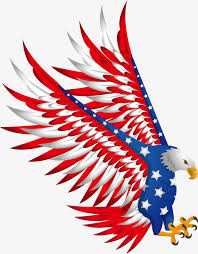 Image result for american flag