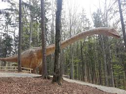 Deci penisul ar trebui să fie destul de mare ca să compenseze pentru poziţia cloacei? Cat Mai CostÄ Un Dinozaur Dino Parc A Dat 200 000 De De Euro Pe Seismozaurul De 45 De Metri Noua AtracÈie A Complexului Turistic Biz Brasov