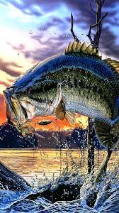 We've gathered more than 5 million images uploaded by our users and sorted them by the most popular ones. Amazing Fishing Cool Fishing Backgrounds