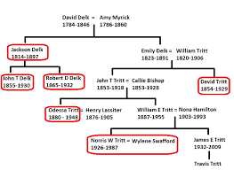 History of the Tritt Property