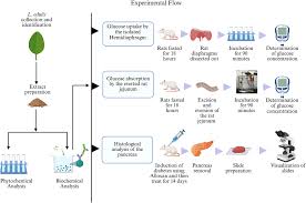 Image result for Lannea edulis