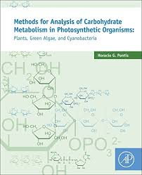 methods for analysis of carbohydrate metabolism in