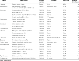 Image result for Litogyne gariepina