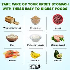 Pin On Food And Nutrition
