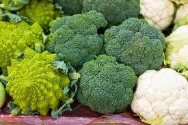 Image result for Brassica