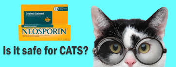 If they eat the tube you will have gi overall, neosporin or any first aid ointment is beneficial to the superficial wounds your pet may endure but anything bigger, or certainly something. Neosporin On Cats Best Topical Antiseptic