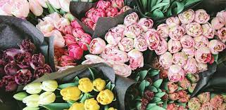 Go to ampleharvest.org to find a food pantry near you. The 13 Best Flower Shops In Denver