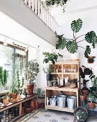 Via The Moptop Plants Plant Decor Tiny Apartment