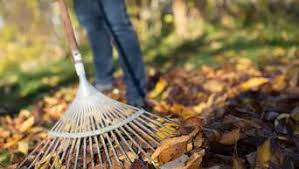Nun wollen wir den garten in angriff nehmen. Laubrente Fur Den Nachbarn Der Herbst Bringt Herrliche Farben Aber Auch Viel Arbeit Wirtschaft