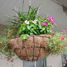Taking care of calibrachoa incorporates occasional soil applications in the garden. Hanging Baskets Watering Rocks