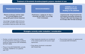 Image result for Plasmic Score