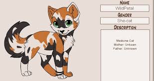 She Cats Inya S Warrior Cats Check out our warrior cats selection for the very best in unique or custom, handmade pieces from our shops. she cats inya s warrior cats