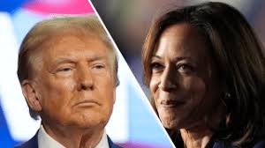 Pirro acknowledges suspension by Fox