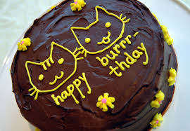 I made cat birthday cake. Happy B Day A Kitty Cat Cake Bunny Cakes