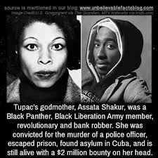 If i was a nazi furry would i be far right or far left? I think right?