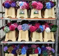 Sustainable and Eco-Friendly Packaging in the Floriculture ...