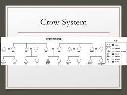 Kinship Diagrams Unit Learning Objectives Differentiate