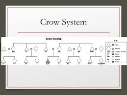 kinship diagrams unit learning objectives differentiate