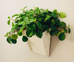 If you have a time frame, please contact me first to find out the delivery time. 27 Best Wall Hanging Planters For Indoors Outdoors 2021