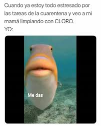 Pin De Emily Alvarez Leon En Mis Memes En 2020 Memes Divertidos Memes Chistosisimos Memes Buenisimos