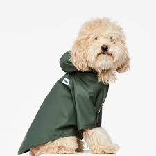 Stylish Outerwear For Dogs From The Painter S Wife Dog Coats Dog Raincoat Stylish Dogs