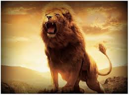 Lion Wallpapers Images Hd Free Download For Desktop Also for mobile and tablet. lion wallpapers images hd free download
