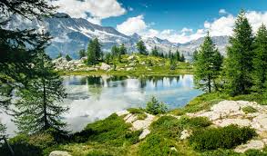 Whether the skill level is as a beginner or something more advanced, they're an ideal way to pass the time when you have nothing else to do like waiting in an airport, sitting in your car or as a means to. Jigsaw Puzzle Of The Day Great Sightings Cheap Online Shopping