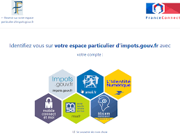Le cesu devient le dispositif obligatoire pour les départements de la martinique, la guadeloupe, la guyane et la réunion : Https Www Leshautsduperche Fr Medias 2020 04 Creation Espace Particulier Pdf