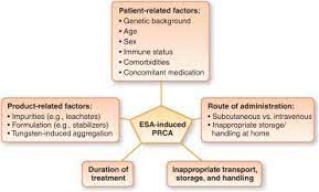 Blood diseases, bone diseases, immune diseases, rare diseases. Antibody Mediated Pure Red Cell Aplasia In Chronic Kidney Disease Patients Receiving Erythropoiesis Stimulating Agents New Insights Kidney International