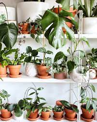 Modern designers have put a. Pin On Pretending I Have A Green Thumb