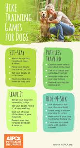How to exercise a dog. Fit Facts On Exercise And Dogs Aspca Pet Health Insurance
