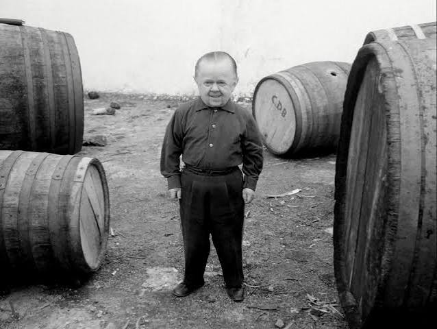 Even Dwarfs Started Small (1970) - IMDb