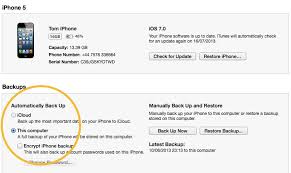 Rockstar gta v serial key. How To Backup Iphone To A Mac Or Pc Ios Guides