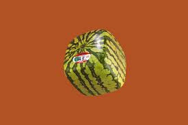 Московские противостояния — Журнал «Афиша»