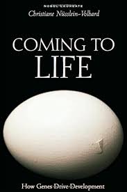 My father, rolf volhard, was an architect. Christiane Nusslein Volhard Born October 20 1942 German Biologist Medical Researcher World Biographical Encyclopedia