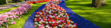 Maybe you would like to learn more about one of these? Roswell Ga Seasonal Flowers Alpharetta Planting Programs Dunwoody Seasonal Plantings