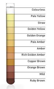 Urine Color And Clarity Chart