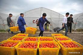 The «one belt, one road» (obor) initiative was proposed by chinese president xi jinping during his visits to kazakhstan and indonesia, in 2013. Grain The Belt And Road Initiative Chinese Agribusiness Going Global