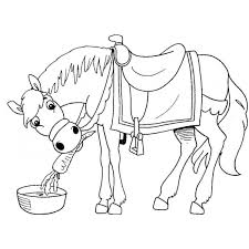Disegno Di Il Cavallo E La Carota Da Colorare Per Bambini