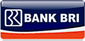 Hasil gambar untuk logo bri