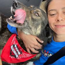 Eee ne yiyoruz diyor Sabah kahvaltıya bizi ne bekliyor? Sizi ne bekliyor?  Ben donuk mama çıkarmadım bu akşam, yarına açılması uzun sürer. Sabah işe  gitmeden hızlı freeze-dried mama ödül karışık hazırlarım. Biraz