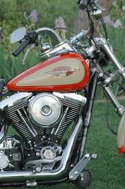 Image result for Champagne Pearl 1998 Motorcycle