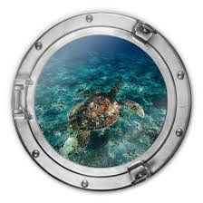5 out of 5 stars (21) $ 29.99. Glass Print Round Sea Turtle Wall Art Com