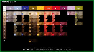 Best Paul Mitchell Semi Permanent Hair Color Chart Image Of