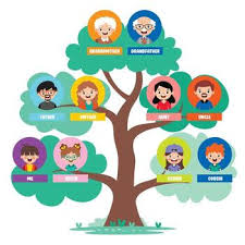 Family Tree Chart Vector Art, Icons, and Graphics for Free Download