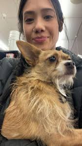 Someone lost guy idaho and broadway help me find his owner my number  5202820991 *****reunited**** thank you for your prayers