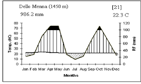 Image result for Gutenbergia rueppellii