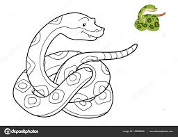 Dibujo Serpiente Para Colorear