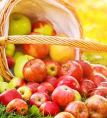 Calendrier Lunaire Du Jardinage En Aout 2020 Calendrier Lunaire Jardinage Potager Carre Potager
